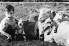 DECADES-Oct-92-Three-Lambs