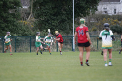 Camogie-Dearbhla-Magee-P50-160322