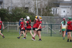 Camogie-Final-Whistle-P55-160322