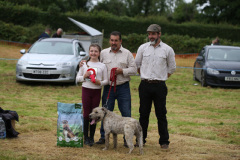 BURREN-Dog-SHow-Colm-Murtagh-judge-with-Wheaten-Champion-and-owner-Mia-McAlwaine