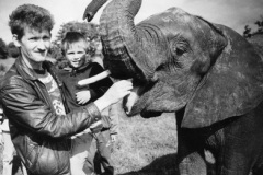 DECADES-Aug-92-elephant