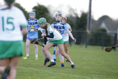 Camogie-Amy-McElroy-P54-020222