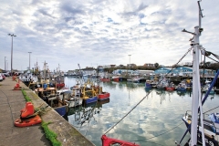 fishing-quota-reaction-Kilkeel-harbour