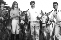 c1b45b4f-decades-1990-forest-park-donkey