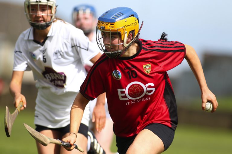 Down camogs find it tough against Kildare in Shield final