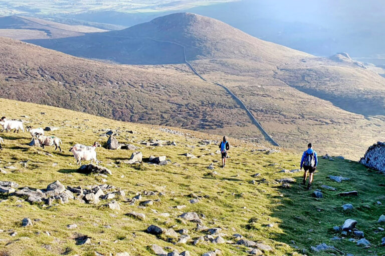 What does the future hold for the Mourne Wall?